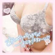 ヒメ日記 2025/01/15 12:20 投稿 なお 白いぽっちゃりさん