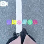 ヒメ日記 2025/01/23 07:02 投稿 なお 白いぽっちゃりさん