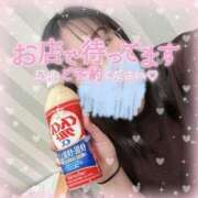 ヒメ日記 2025/02/01 16:43 投稿 なお 白いぽっちゃりさん