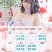 ヒメ日記 2025/02/02 17:03 投稿 なお 白いぽっちゃりさん