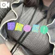 ヒメ日記 2025/02/06 15:22 投稿 なお 白いぽっちゃりさん