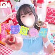 ヒメ日記 2025/02/07 17:42 投稿 なお 白いぽっちゃりさん