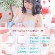 ヒメ日記 2025/02/17 18:22 投稿 なお 白いぽっちゃりさん