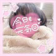 ヒメ日記 2025/02/18 06:52 投稿 なお 白いぽっちゃりさん