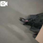 ヒメ日記 2025/03/02 23:12 投稿 なお 白いぽっちゃりさん