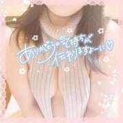 ヒメ日記 2025/03/04 12:03 投稿 なお 白いぽっちゃりさん