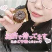 ヒメ日記 2025/03/09 12:52 投稿 なお 白いぽっちゃりさん