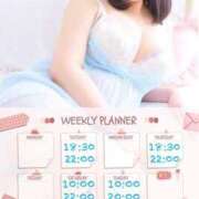 ヒメ日記 2025/03/10 15:02 投稿 なお 白いぽっちゃりさん