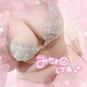 ヒメ日記 2025/03/13 21:45 投稿 なお 白いぽっちゃりさん