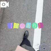 ヒメ日記 2025/03/15 09:22 投稿 なお 白いぽっちゃりさん