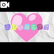 ヒメ日記 2025/03/15 17:03 投稿 なお 白いぽっちゃりさん