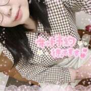 ヒメ日記 2025/03/22 10:22 投稿 なお 白いぽっちゃりさん