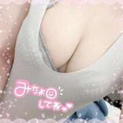 ヒメ日記 2025/03/26 10:03 投稿 なお 白いぽっちゃりさん