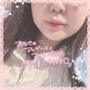 ヒメ日記 2025/03/26 14:45 投稿 なお 白いぽっちゃりさん