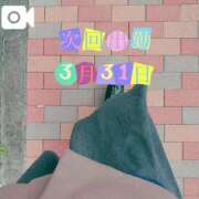 ヒメ日記 2025/03/30 16:22 投稿 なお 白いぽっちゃりさん