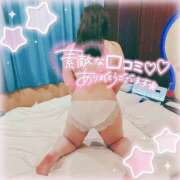 ヒメ日記 2025/03/31 12:09 投稿 なお 白いぽっちゃりさん