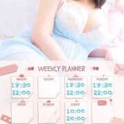 ヒメ日記 2025/03/31 14:18 投稿 なお 白いぽっちゃりさん