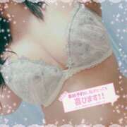 ヒメ日記 2025/04/01 07:12 投稿 なお 白いぽっちゃりさん