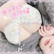 ヒメ日記 2025/04/05 15:52 投稿 なお 白いぽっちゃりさん