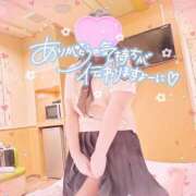 ヒメ日記 2025/04/06 12:07 投稿 なお 白いぽっちゃりさん