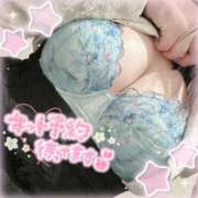 ヒメ日記 2025/04/06 15:42 投稿 なお 白いぽっちゃりさん