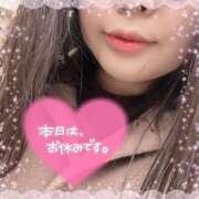 ヒメ日記 2025/04/07 06:42 投稿 なお 白いぽっちゃりさん