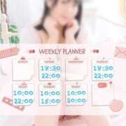 ヒメ日記 2025/04/07 14:27 投稿 なお 白いぽっちゃりさん