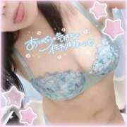 ヒメ日記 2025/04/11 12:04 投稿 なお 白いぽっちゃりさん