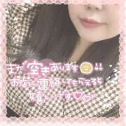 ヒメ日記 2025/04/11 14:32 投稿 なお 白いぽっちゃりさん