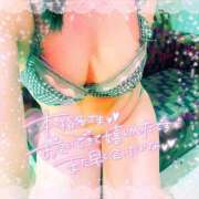 ヒメ日記 2025/04/12 12:19 投稿 なお 白いぽっちゃりさん