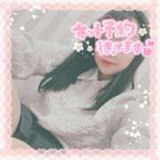 ヒメ日記 2025/04/13 10:22 投稿 なお 白いぽっちゃりさん