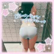 ヒメ日記 2025/04/14 12:03 投稿 なお 白いぽっちゃりさん