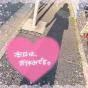 ヒメ日記 2025/04/17 17:02 投稿 なお 白いぽっちゃりさん