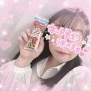 ヒメ日記 2025/04/27 14:22 投稿 なお 白いぽっちゃりさん