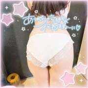 ヒメ日記 2025/05/17 12:22 投稿 なお 白いぽっちゃりさん