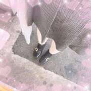 ヒメ日記 2025/05/17 15:22 投稿 なお 白いぽっちゃりさん