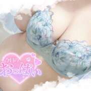 ヒメ日記 2025/05/26 07:12 投稿 なお 白いぽっちゃりさん