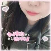 ヒメ日記 2025/05/27 18:42 投稿 なお 白いぽっちゃりさん