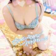 ヒメ日記 2025/05/28 12:22 投稿 なお 白いぽっちゃりさん