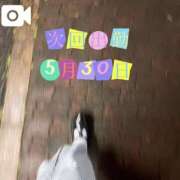 ヒメ日記 2025/05/29 22:52 投稿 なお 白いぽっちゃりさん