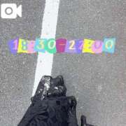 ヒメ日記 2025/06/02 07:12 投稿 なお 白いぽっちゃりさん