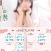 ヒメ日記 2025/06/02 14:22 投稿 なお 白いぽっちゃりさん