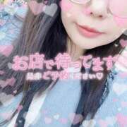 ヒメ日記 2025/06/07 10:22 投稿 なお 白いぽっちゃりさん