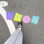 ヒメ日記 2025/06/15 08:52 投稿 なお 白いぽっちゃりさん