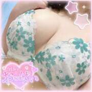 ヒメ日記 2025/06/21 13:03 投稿 なお 白いぽっちゃりさん