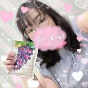 ヒメ日記 2025/06/23 11:42 投稿 なお 白いぽっちゃりさん