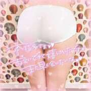 ヒメ日記 2025/06/23 13:03 投稿 なお 白いぽっちゃりさん