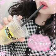 ヒメ日記 2025/06/29 14:36 投稿 なお 白いぽっちゃりさん