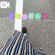 ヒメ日記 2025/07/02 07:12 投稿 なお 白いぽっちゃりさん