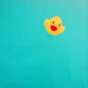 ヒメ日記 2025/07/13 15:03 投稿 なお 白いぽっちゃりさん